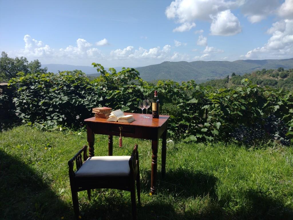 immagine annuncio 3 di 6