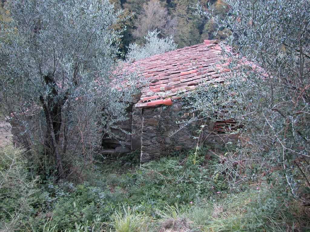 immagine annuncio 2 di 6