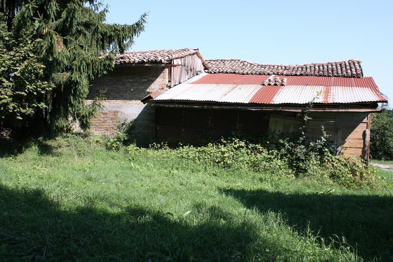 immagine annuncio 4 di 7