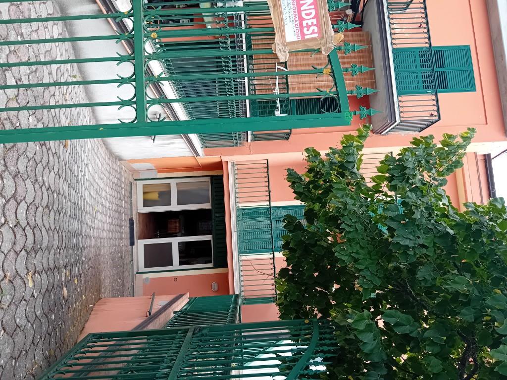 immagine annuncio 2 di 7