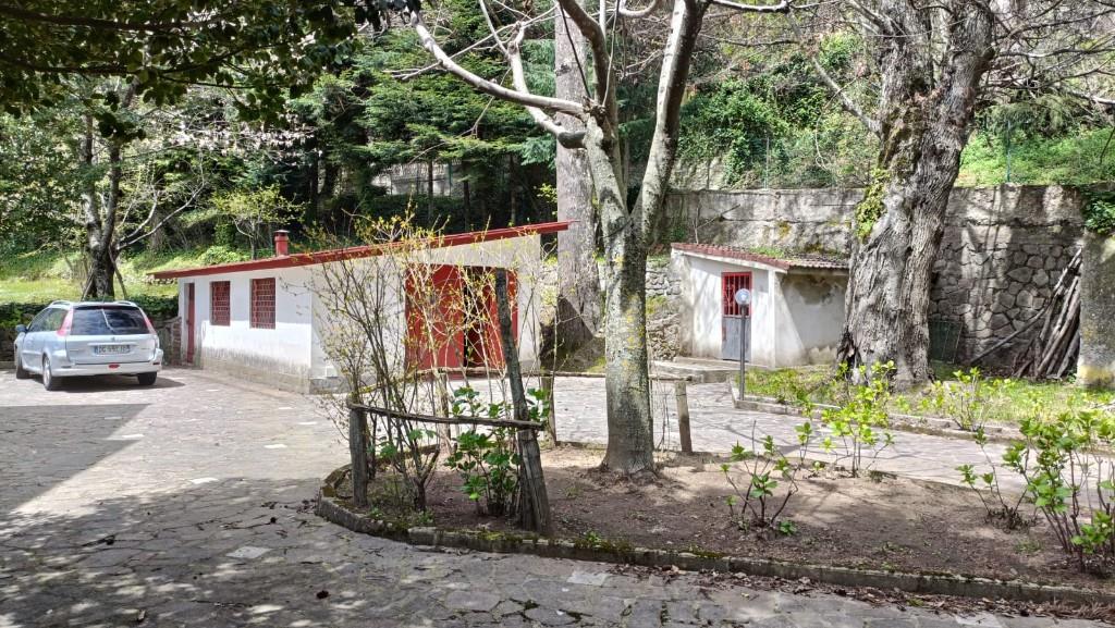 immagine annuncio 5 di 7