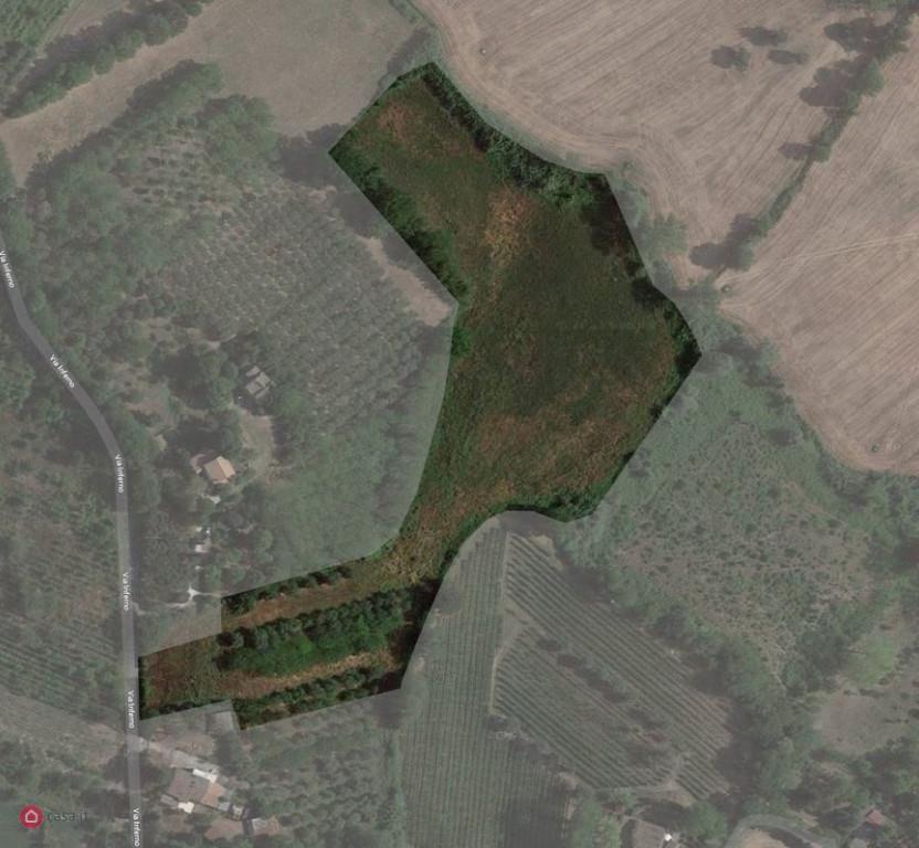 immagine annuncio 6 di 7