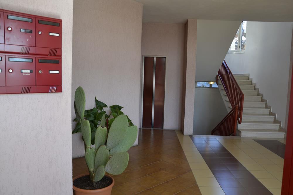 immagine annuncio 1 di 7