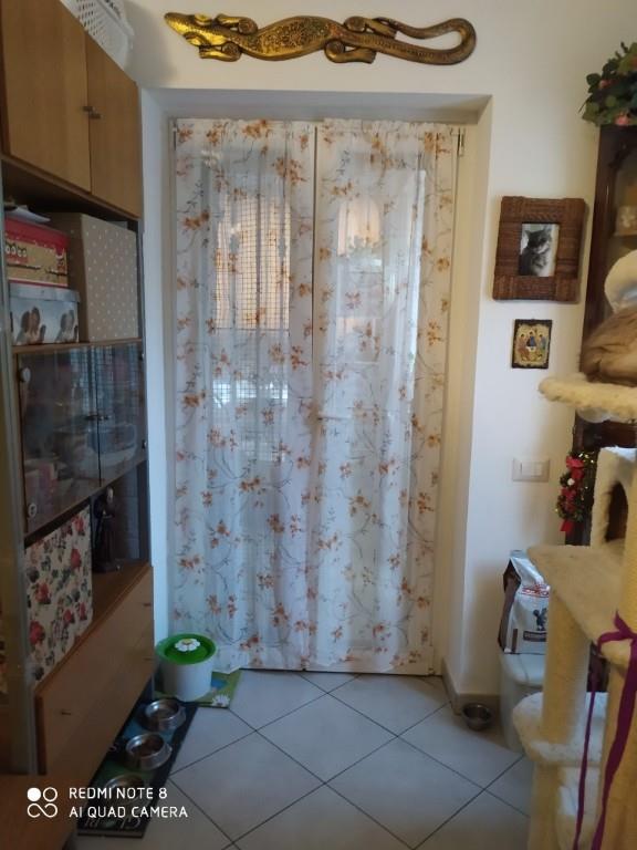 immagine annuncio 5 di 7