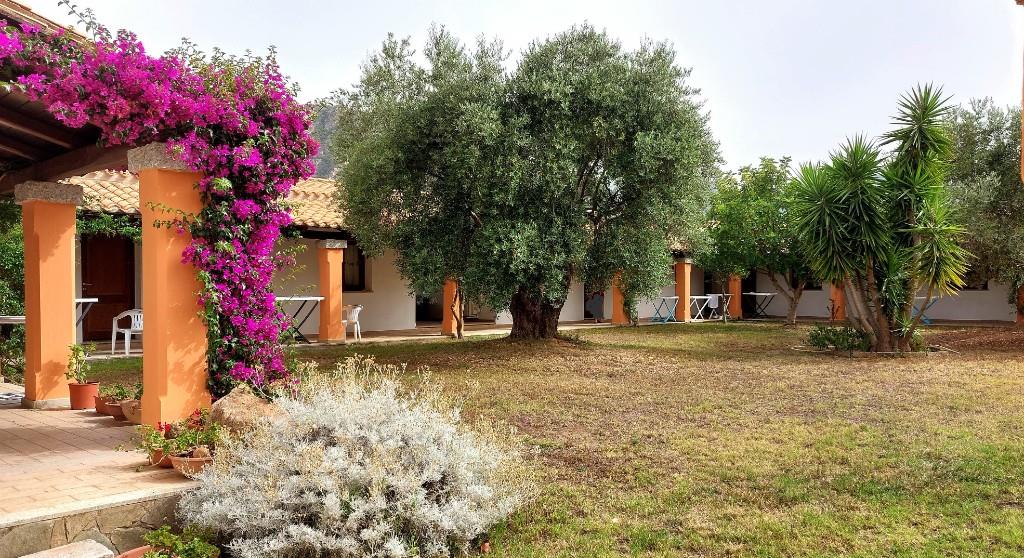 immagine annuncio 1 di 6