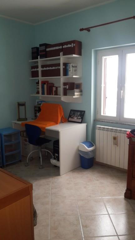 immagine annuncio 2 di 7