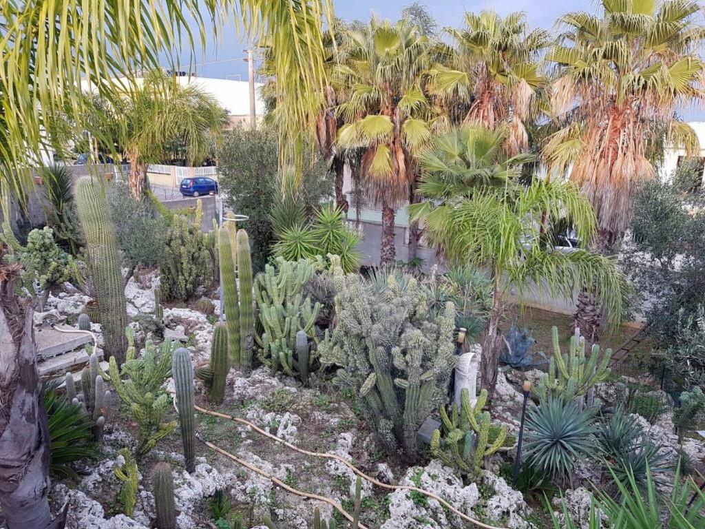 immagine annuncio 4 di 7