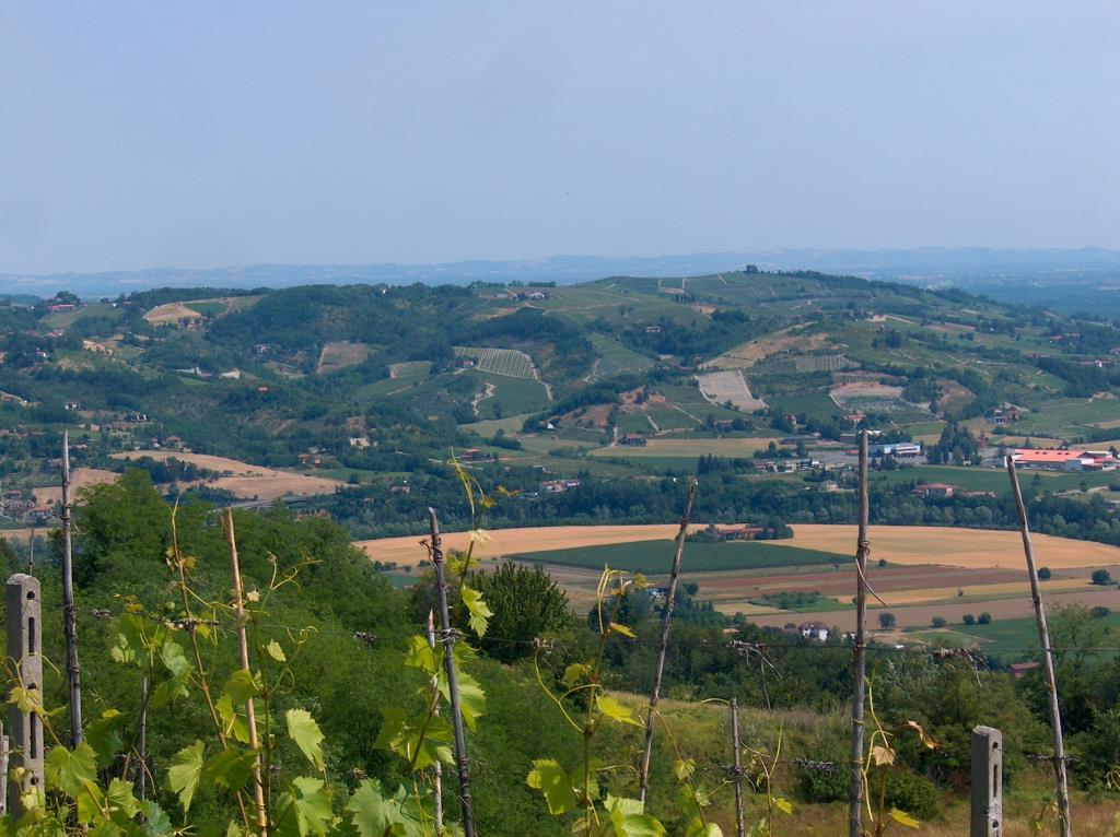 immagine annuncio 6 di 7