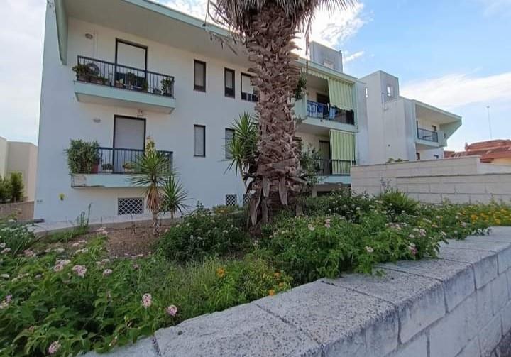 immagine annuncio 5 di 7