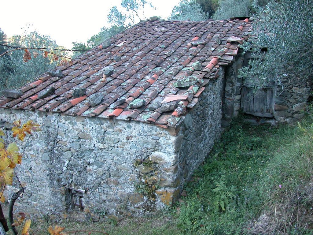 immagine annuncio 1 di 6