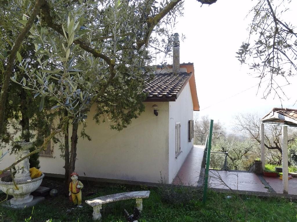 immagine annuncio 2 di 7