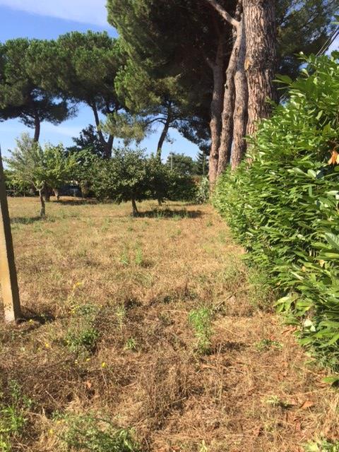 immagine annuncio 3 di 7