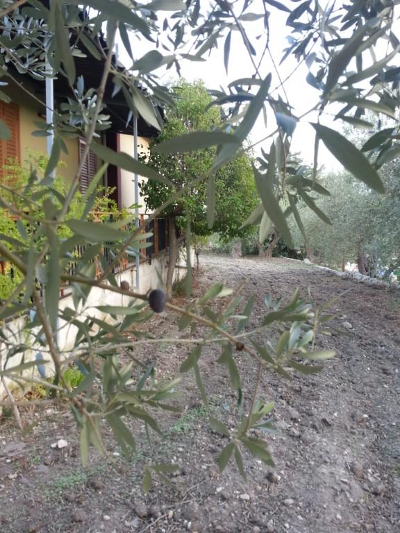 immagine annuncio 5 di 7