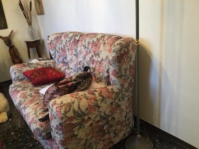 immagine annuncio 5 di 7