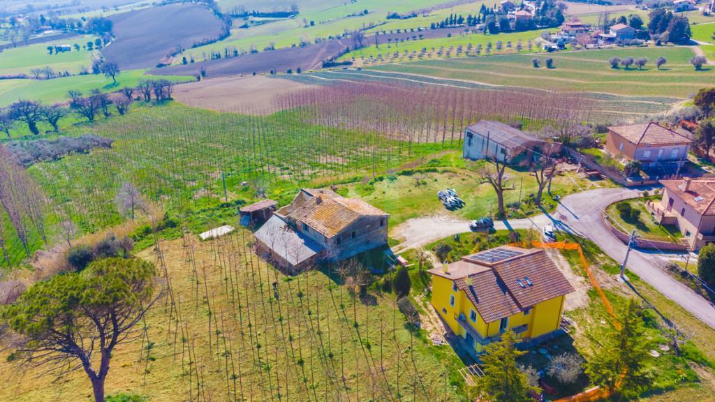 immagine annuncio 3 di 4