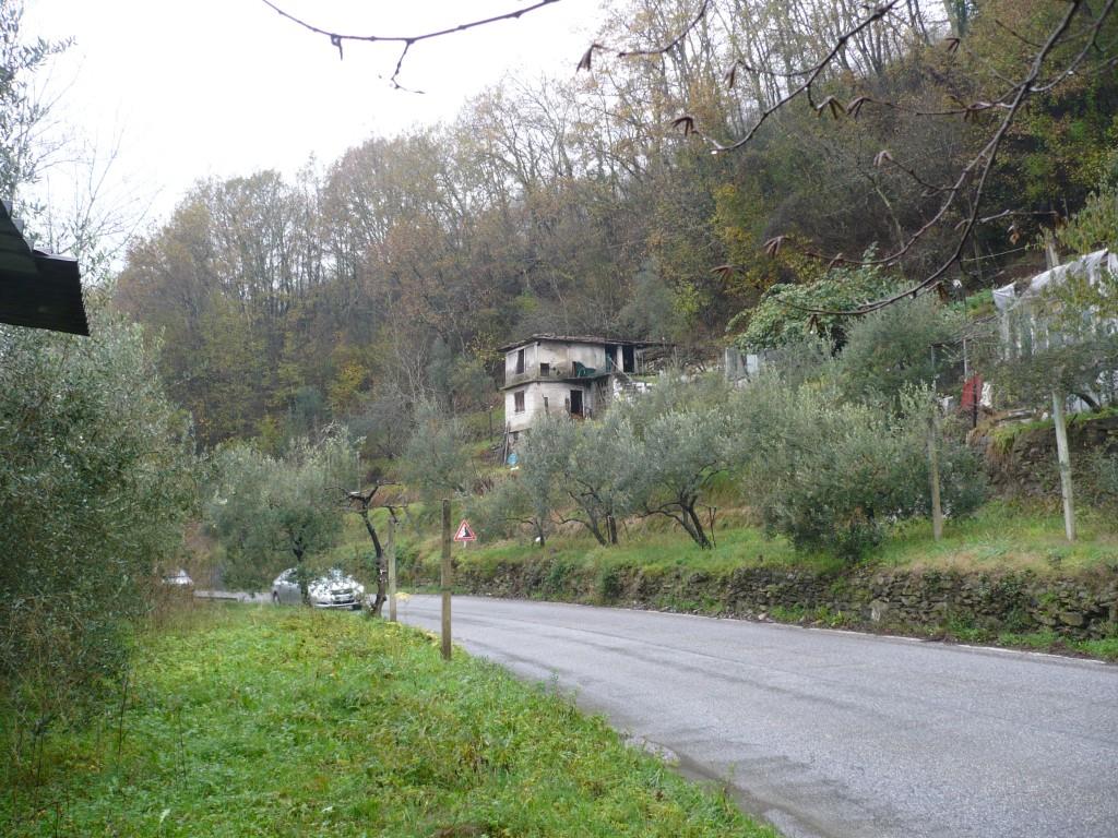 immagine annuncio 4 di 7