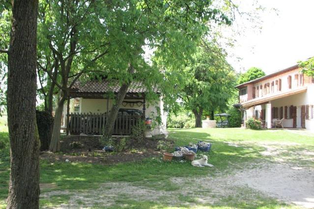 immagine annuncio 2 di 7