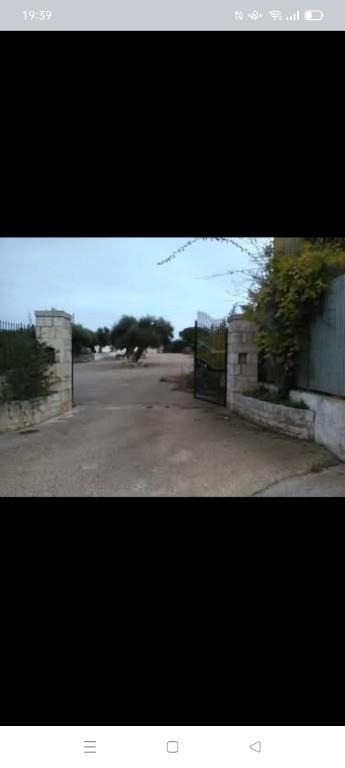 immagine annuncio 6 di 7
