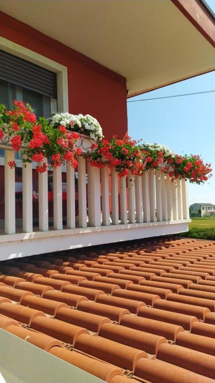 immagine annuncio 1 di 7