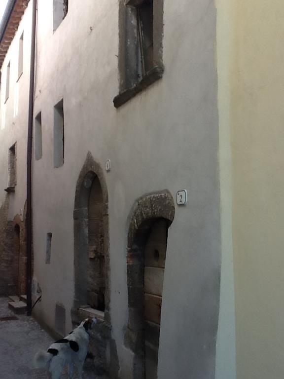immagine annuncio 2 di 4