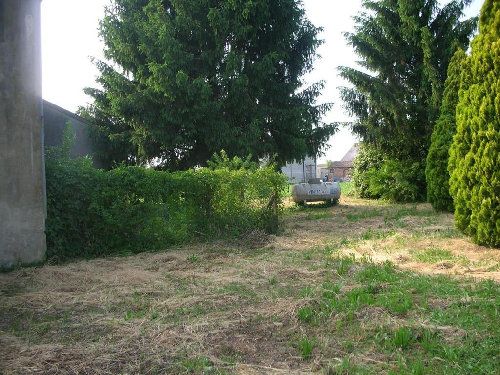 immagine annuncio 1 di 4