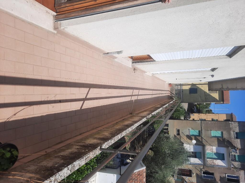 immagine annuncio 3 di 7