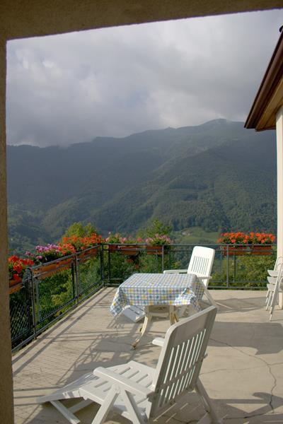 immagine annuncio 5 di 7