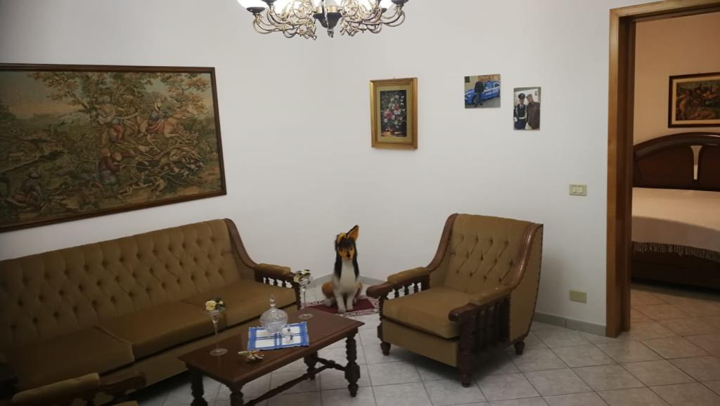 immagine annuncio 1 di 7