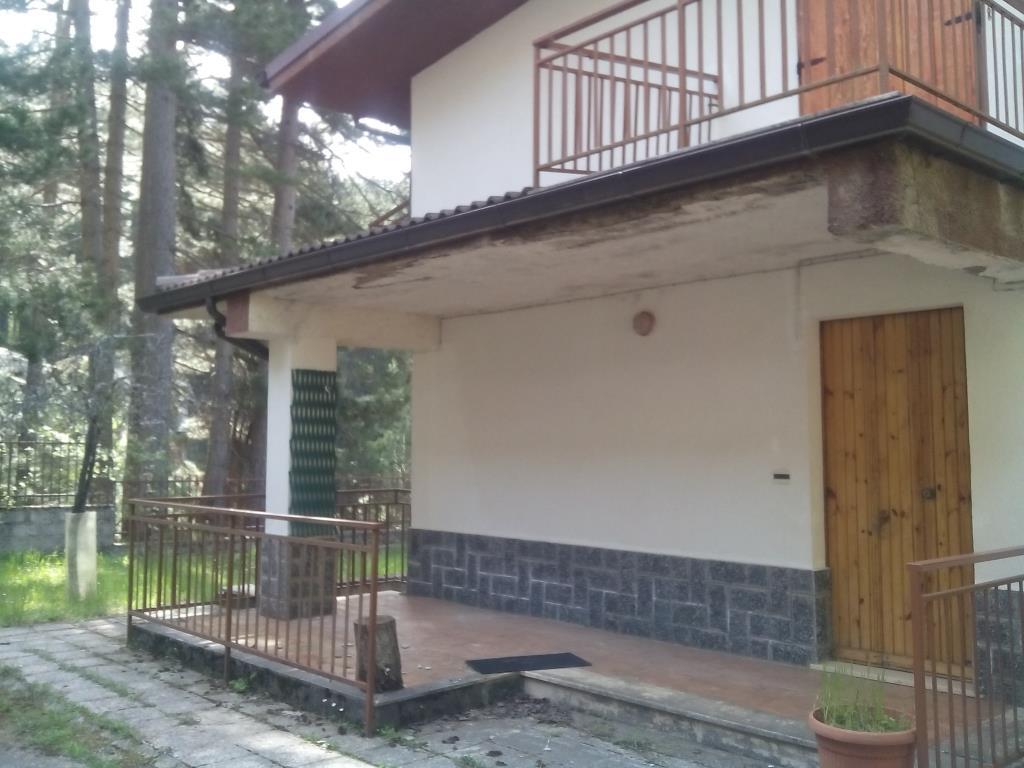 immagine annuncio 3 di 7