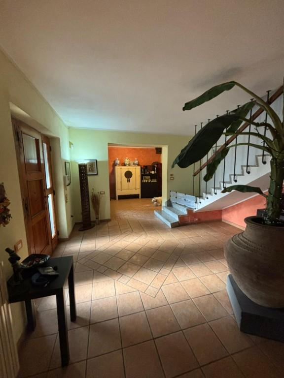 immagine annuncio 6 di 7