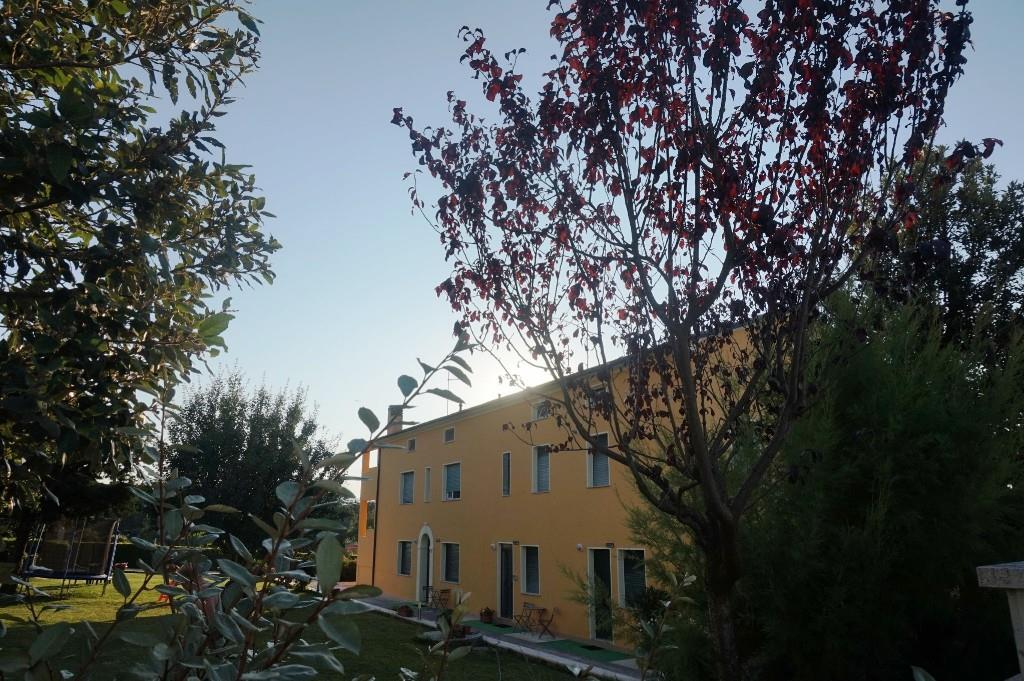 immagine annuncio 5 di 6