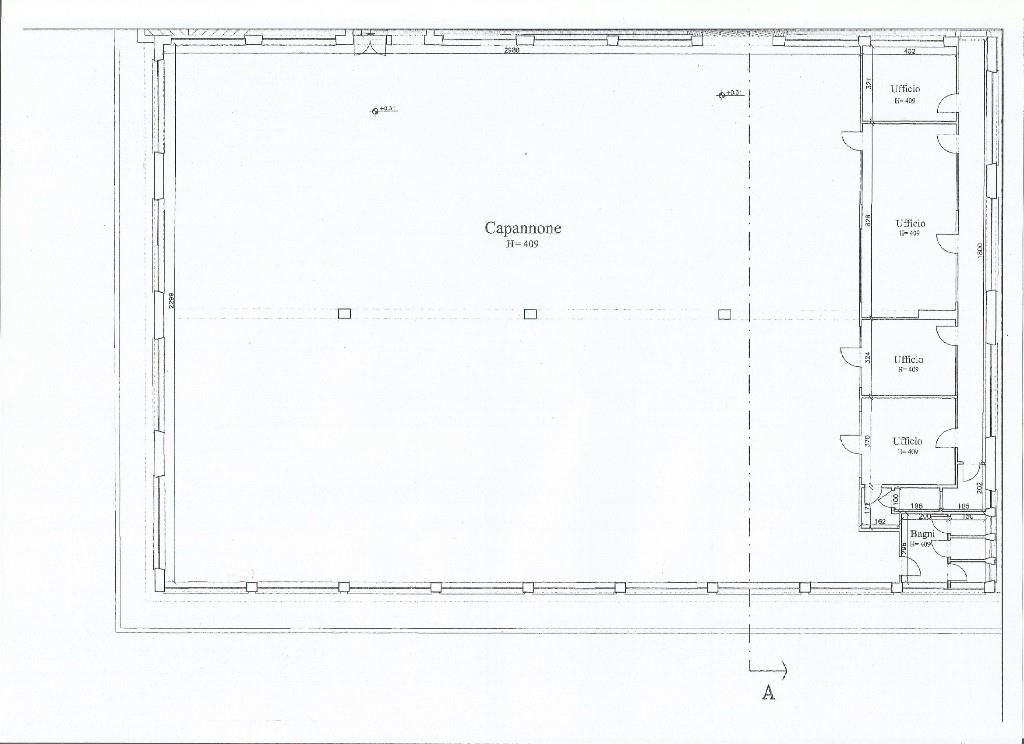 immagine annuncio 5 di 7