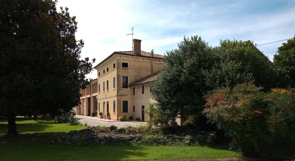 immagine annuncio 4 di 7