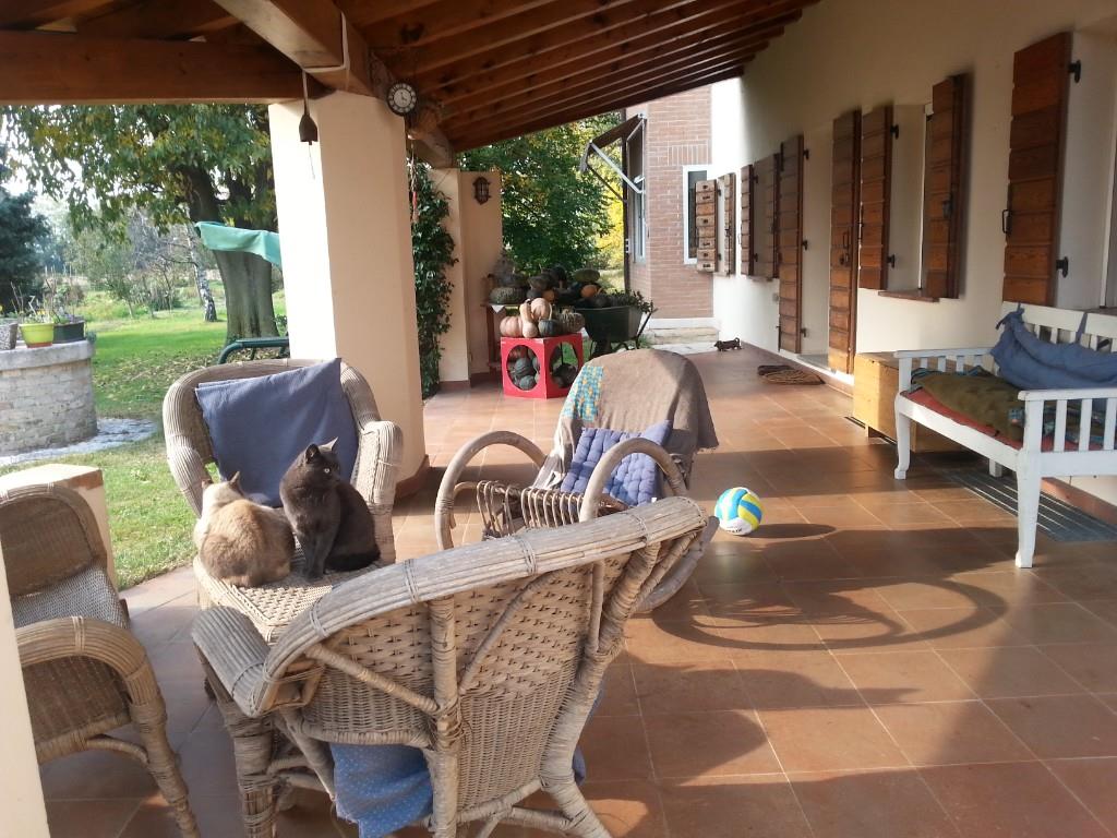 immagine annuncio 4 di 7