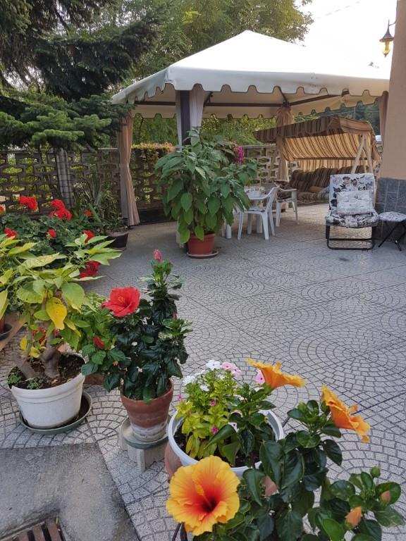 immagine annuncio 6 di 7