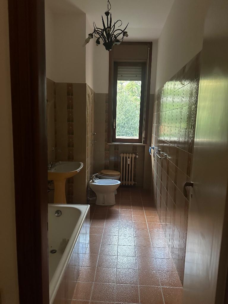 immagine annuncio 2 di 7