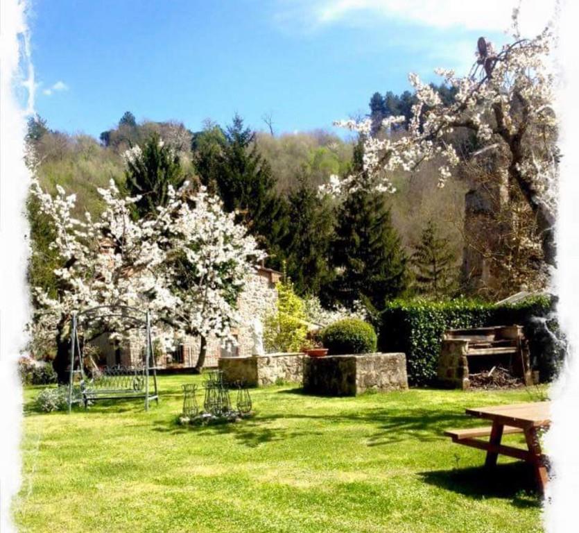 immagine annuncio 3 di 7