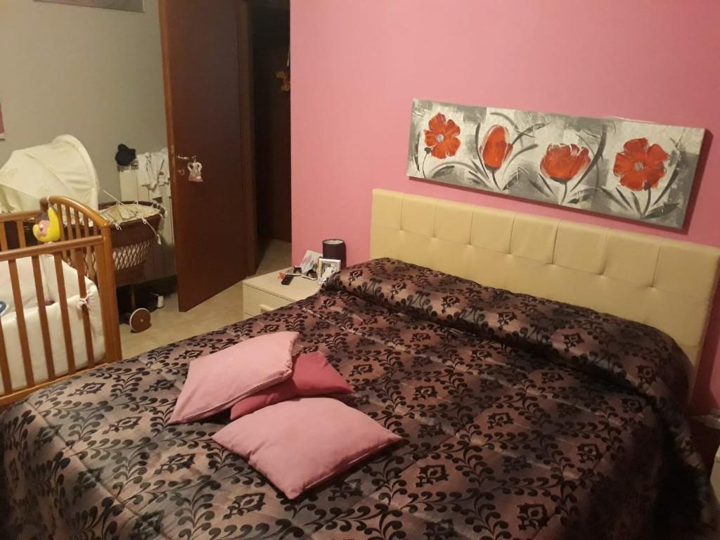 immagine annuncio 3 di 7