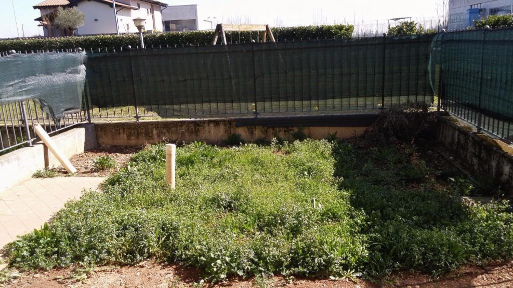 immagine annuncio 5 di 6