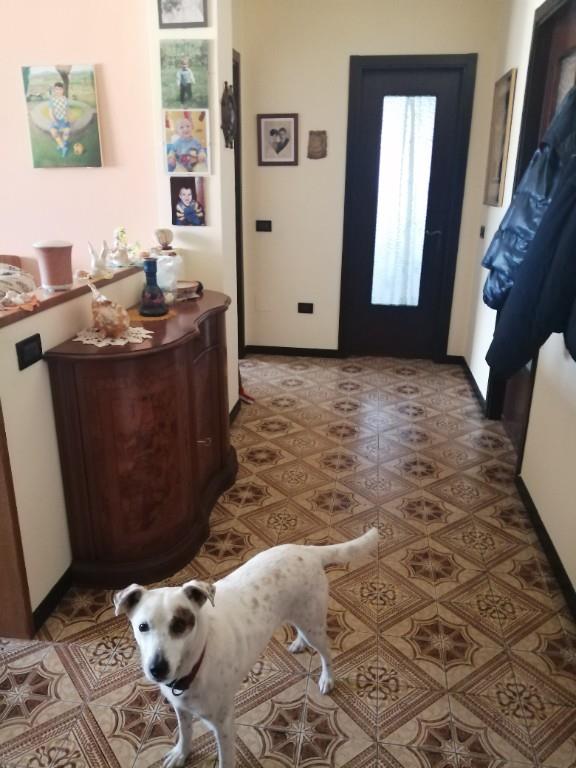 immagine annuncio 4 di 7