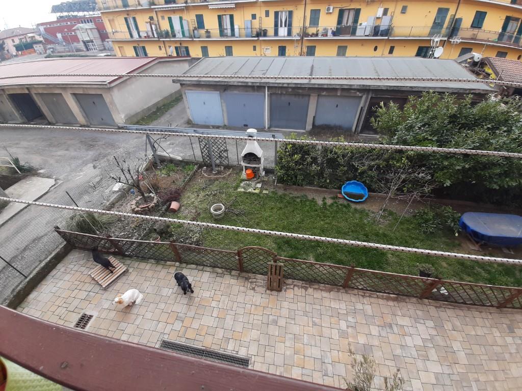 immagine annuncio 1 di 7