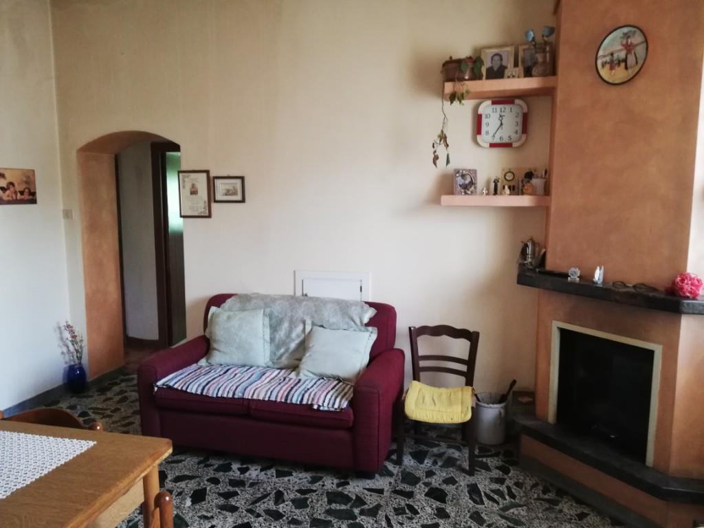 immagine annuncio 1 di 7