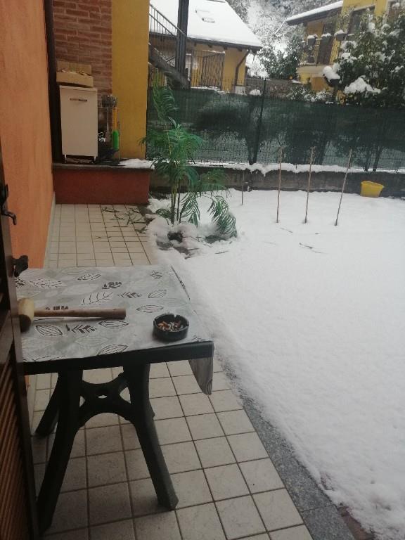 immagine annuncio 4 di 7