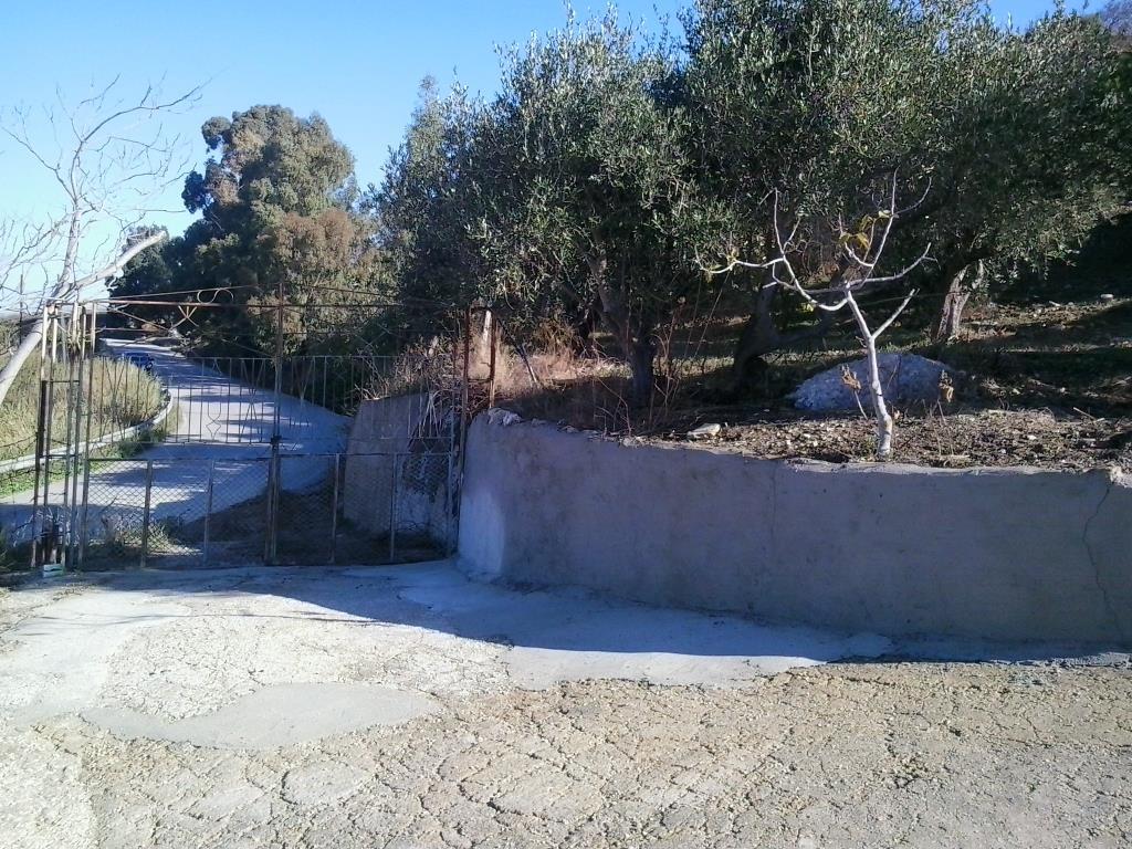 immagine annuncio 1 di 6