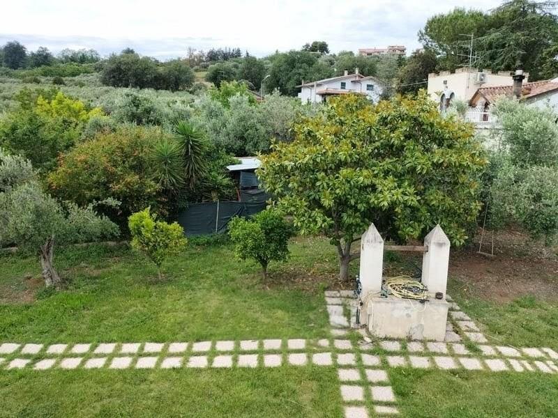 immagine annuncio 4 di 7