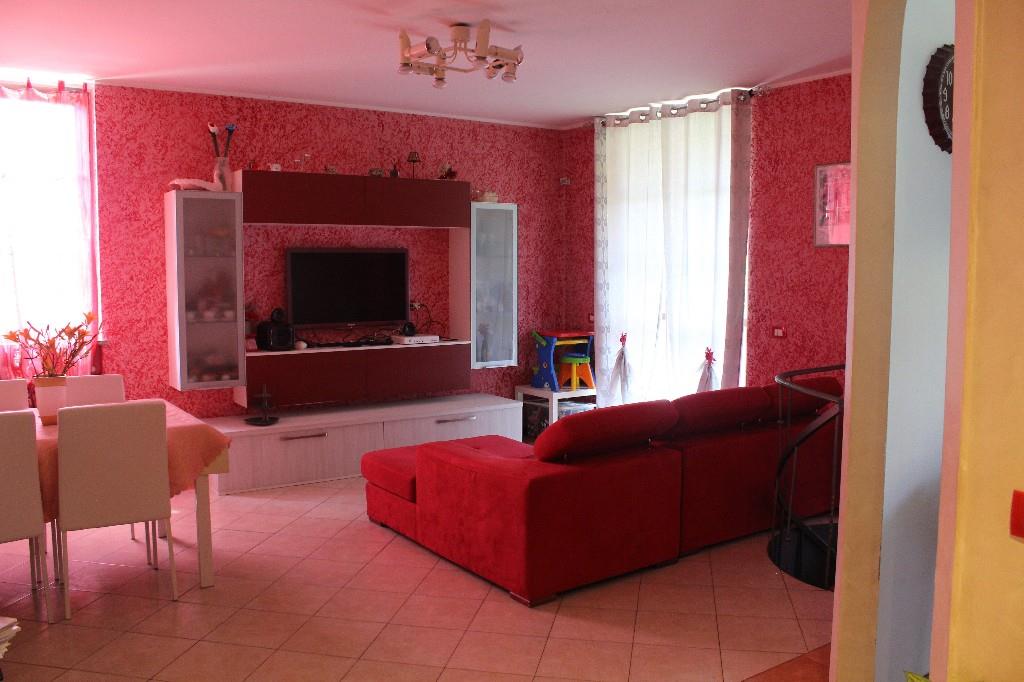 immagine annuncio 6 di 7