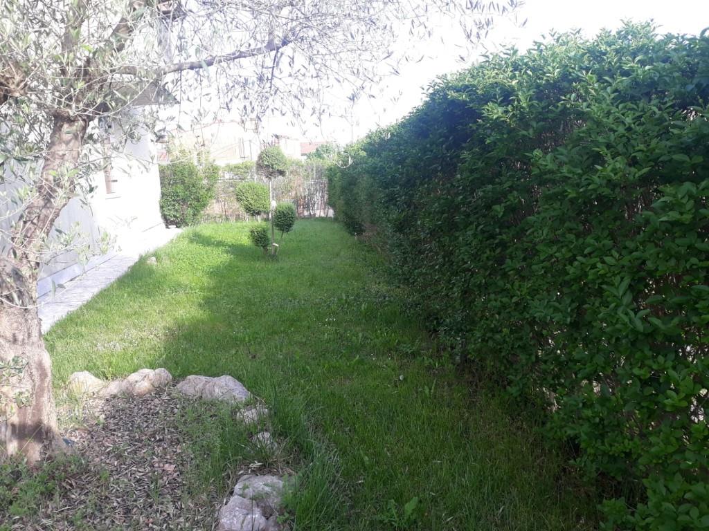 immagine annuncio 3 di 6