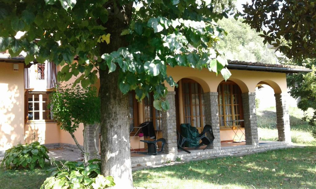 immagine annuncio 2 di 7