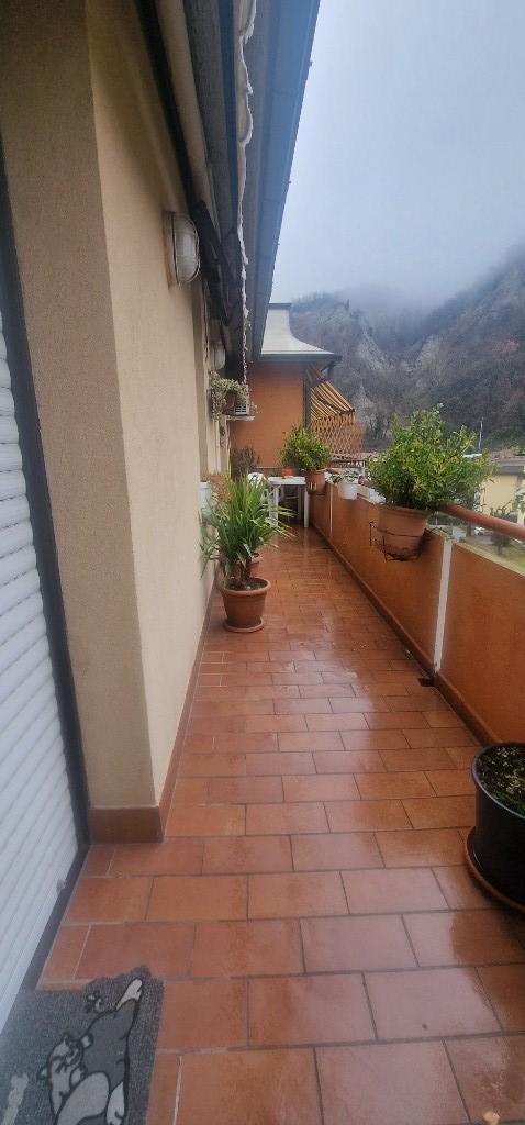 immagine annuncio 5 di 6