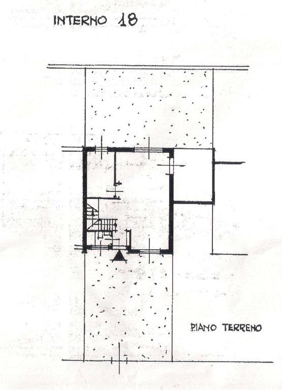 immagine annuncio 5 di 7